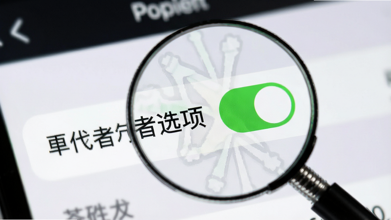 一张展示APP设置界面的特写图,焦点位于“开发者选项”开关,开关处于开启状态(绿色),周围有放大镜图标强调细节,背景虚化,突出操作重点,风格简洁,细节清晰,画质高,无多余元素