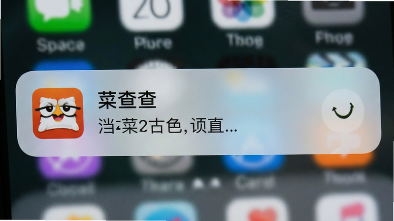 主体为手机通知中心界面,显示一条来自菜查查的推送消息,布局上下结构,排版紧凑,风格为系统原生通知样式,细节包含消息图标与简短文字描述,画质真实,干净,无多余元素