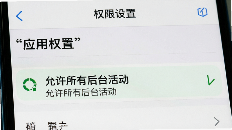 主体为手机设置界面截图,布局聚焦于“应用权限”列表,风格系统原生UI,细节高亮显示“允许所有后台活动”选项,画质清晰,干净,文字“权限设置”加引号