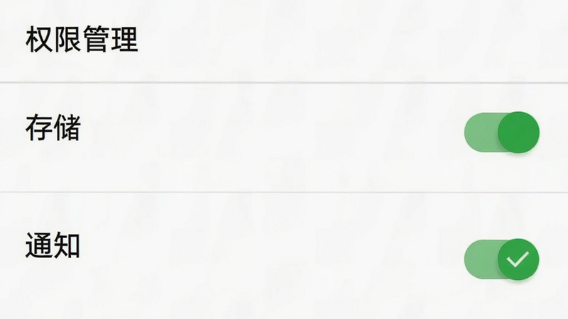 手机设置界面截图,显示“权限管理”列表,其中“存储”和“通知”两项被勾选,开关为绿色,界面背景为白色,文字清晰,布局标准安卓风格,简洁明了,无其他干扰图标,高对比度设计