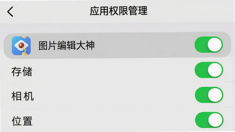 手机设置界面截图,显示“应用权限管理”页面,其中“图片编辑大神”应用被高亮选中,下方列出“存储”、“相机”、“位置”等权限开关,开关均为绿色开启状态,背景为浅灰色,界面简洁清晰,无其他干扰元素,重点突出权限开启状态