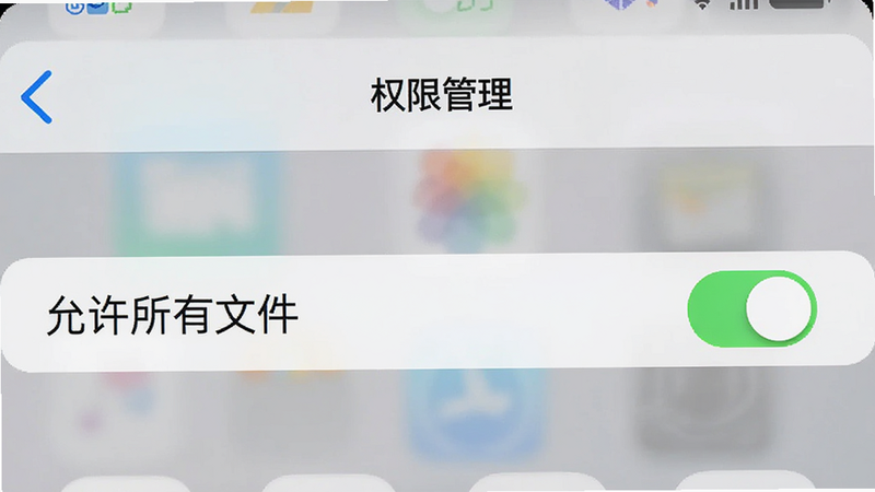 主体为手机设置界面中AINotes权限管理页面,布局为列表式选项,排版整齐,风格iOS与安卓混合的通用UI,细节展示“允许所有文件”开关处于开启状态,画质清晰,干净,无多余元素,文字