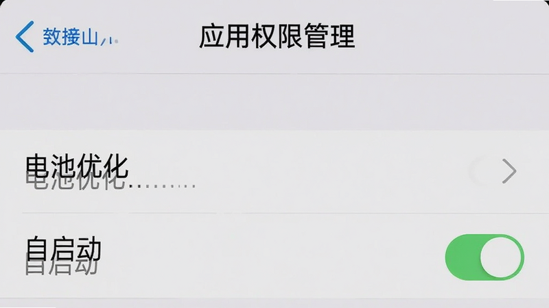 手机设置界面截图,显示“应用权限管理”页面,突出显示“电池优化”和“自启动”开关,界面简洁,文字清晰,背景为浅灰色,无其他干扰元素