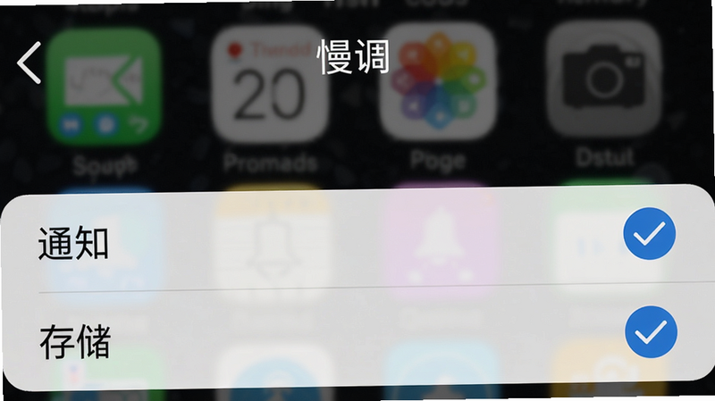 手机设置界面截图,显示“慢调”权限设置页面,高亮显示“通知”和“存储”选项,背景模糊,清晰展示勾选状态,高清,干净,无多余元素,UI细节丰富,4k画质
