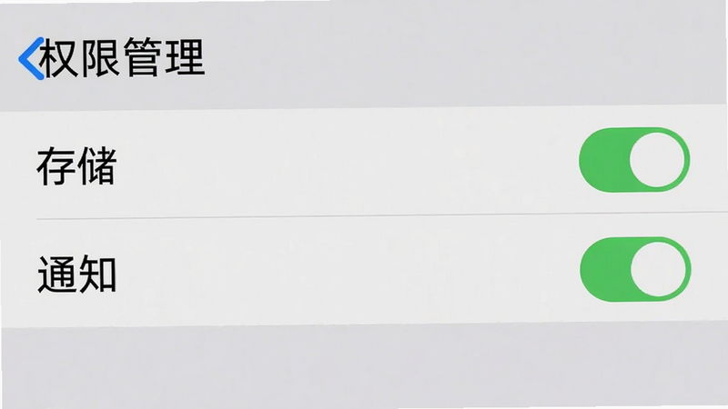 手机设置界面截图,显示“权限管理”列表,其中“存储”、“通知”权限已开启,背景为浅灰色,界面清晰,字体清晰,无多余装饰,高清UI截图,模拟真实手机显示效果。