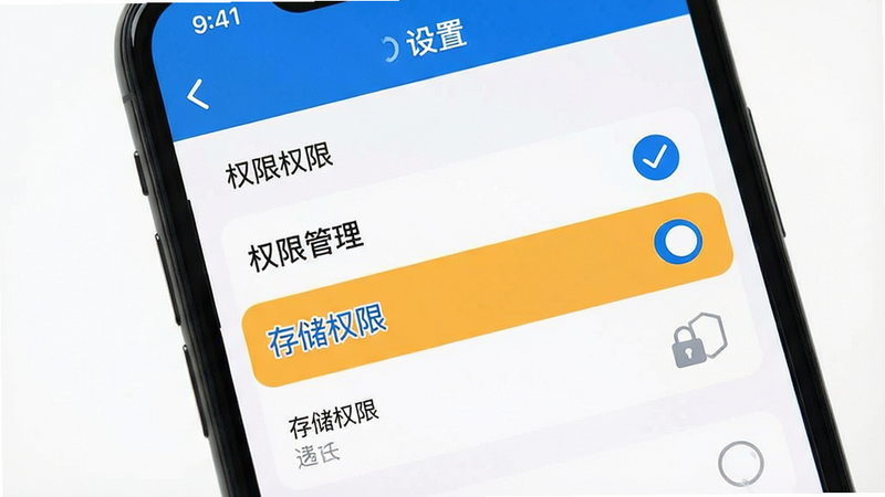 主体为手机设置界面,布局简洁,突出“权限管理”选项,排版清晰,风格为扁平化UI设计,细节展示勾选状态,画质清晰,干净,文字“存储权限”高亮显示