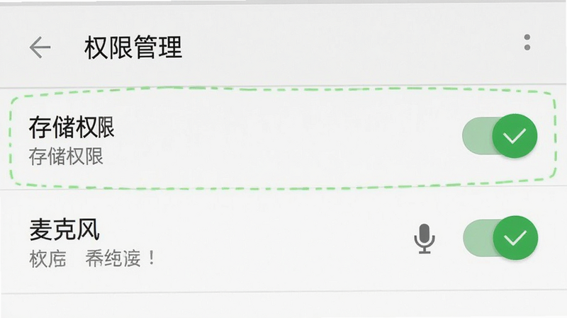 主体为安卓手机设置界面截图,展示“权限管理”页面,重点高亮显示“存储”和“麦克风”权限开关处于开启状态。布局为标准安卓设置列表样式,风格简洁,细节处有绿色勾选标记表示已授权,画质清晰,干净,无多余元素,文字清晰显示“存储权限”