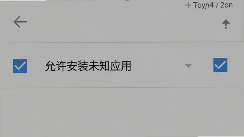 安卓手机设置界面,显示“允许安装未知应用”选项被勾选,背景为系统默认灰色,风格简洁,细节清晰,画质高,干净,无多余元素