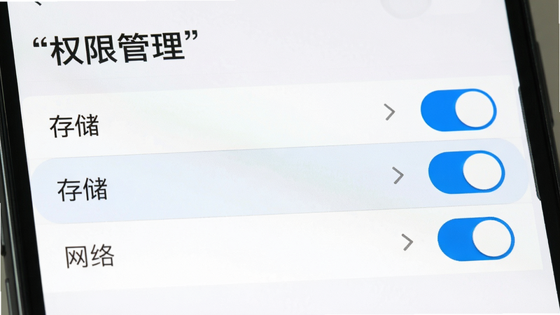 主体为手机设置界面,显示权限管理选项,布局为列表式,风格为系统原生风,细节高亮显示“存储”、“网络”权限开关,画质清晰,干净,文字“权限管理”加引号