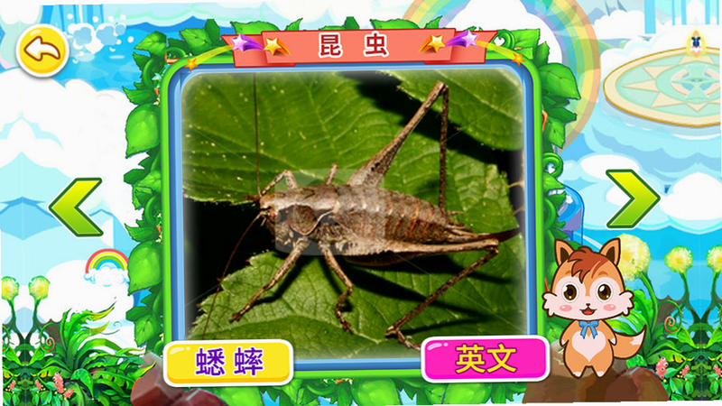 儿童动物世界 安卓版 适合年龄推荐