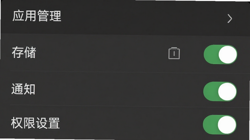 主体为手机设置界面截图,布局显示‘应用管理’与‘权限设置’选项,排版清晰,风格为系统UI,细节展示‘存储’、‘通知’等开关状态,画质清晰,干净无多余元素,文字‘权限设置’清晰可见