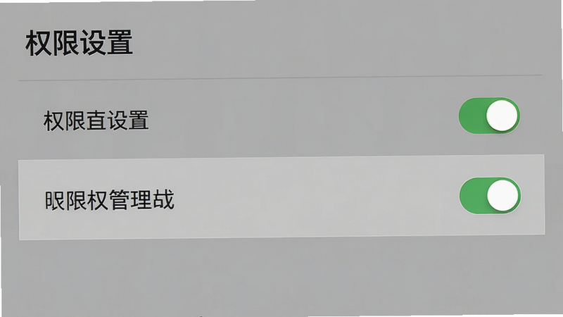 主体为设置界面截图,突出显示权限管理选项,布局清晰,排版整齐,风格为系统设置UI,细节有开关按钮的高亮效果,画质清晰,干净无其他干扰元素,文字标注