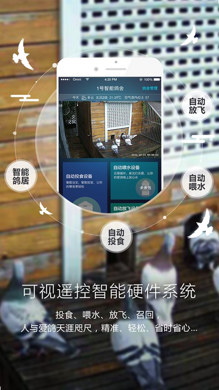 鸽子对讲 安卓版 功能界面截图