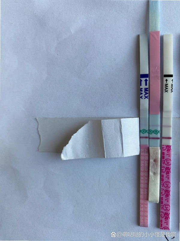 金秀儿 大卫 对比 测试