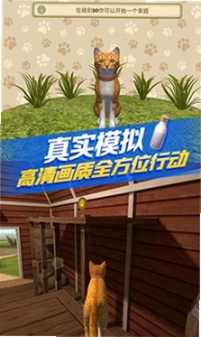 Сè������ð�ս�ͼ4