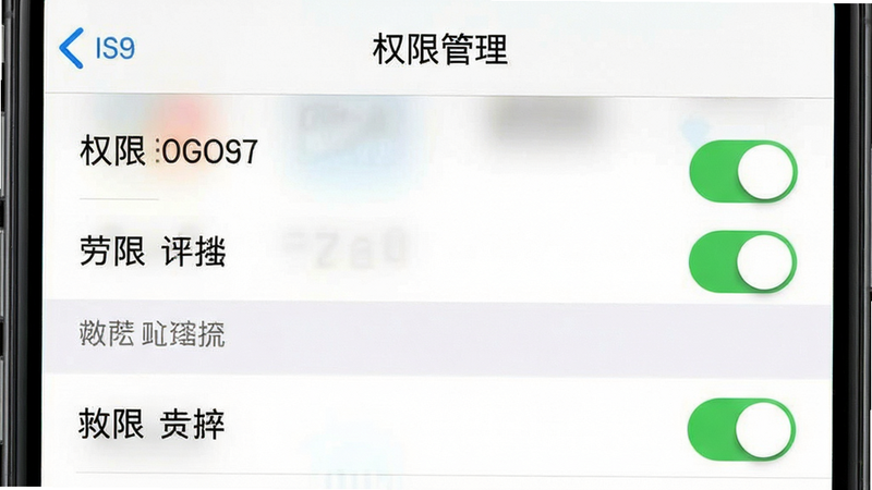 主体为手机设置界面截图,布局展示权限管理列表,排版清晰,风格为系统原生UI,细节展示开关状态,画质清晰,干净,无多余弹窗,文字内容