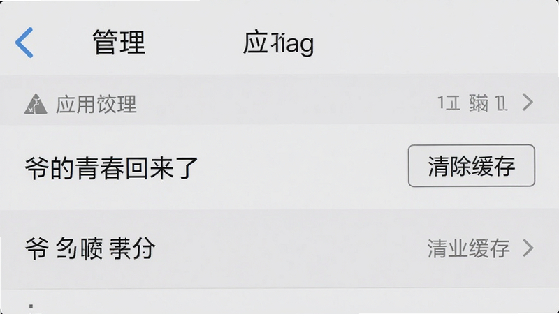主体为手机设置界面截图,显示“应用管理”列表,其中“爷的青春回来了”高亮显示,旁边有“清除缓存”按钮,背景为浅灰色,布局清晰,排版整齐,风格为系统原生UI,细节清晰,画质高清,干净,无多余元素