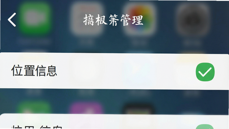 手机设置界面截图,显示“应用权限管理”页面,其中“位置信息”权限被勾选,背景模糊,界面清晰,绿色对勾标志明显,风格简洁,高分辨率,无多余元素