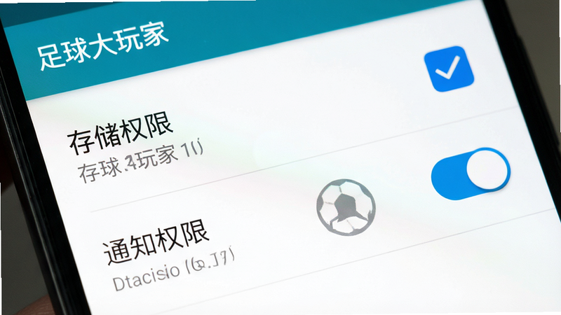 一张手机设置界面的特写图,主体为“存储权限”与“通知权限”开关页面,布局简洁,风格为安卓原生UI设计,细节显示勾选状态,画质清晰,干净,无多余元素,文字内容包含“足球大玩家”