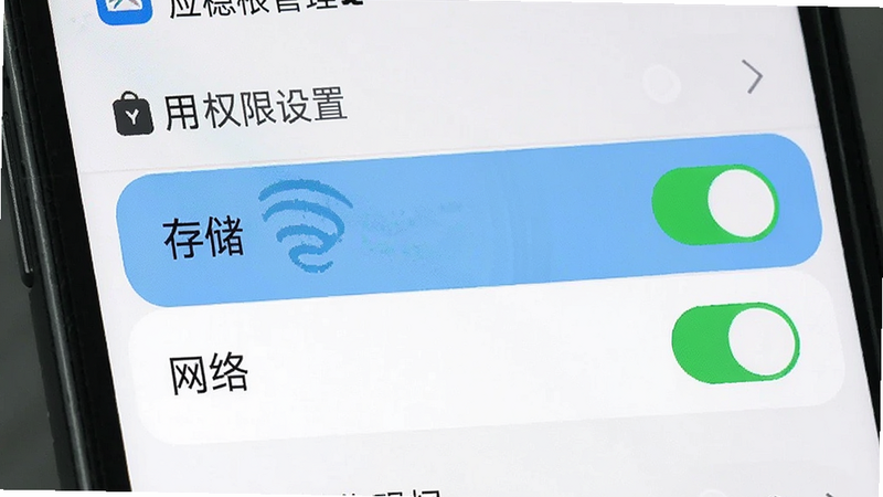 手机设置界面截图示意,显示应用权限管理页面,重点高亮显示“存储”和“网络”权限开关,界面简洁清晰,字体易读,背景为浅色模式,体现隐私设置的安全性,高清UI设计图