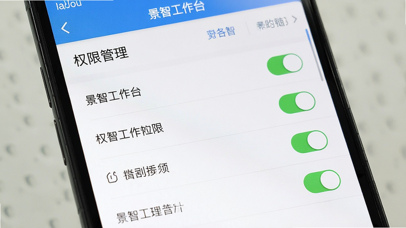主体为手机设置界面,展示景智工作台的权限管理页,布局为列表形式,排版清晰,风格系统原生UI,细节显示开关状态与权限项,画质清晰,干净,无多余元素,包含文字