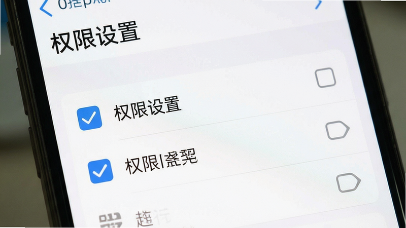主体为手机设置界面截图,布局聚焦于权限管理选项,排版清晰,风格实用教程风,细节包含勾选框与权限名称,画质清晰,干净,无多余元素,文字