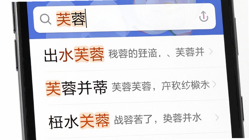 主体为手机搜索界面,顶部搜索框内输入文字“芙蓉”,下方列表依次显示“出水芙蓉”、“芙蓉并蒂”等成语,每条成语右侧有灰色小字释义预览,背景为纯白色,布局纵向列表式,排版紧凑有序,风格为极简UI设计,细节处高亮显示匹配字符为橙色,画质清晰,无杂乱背景