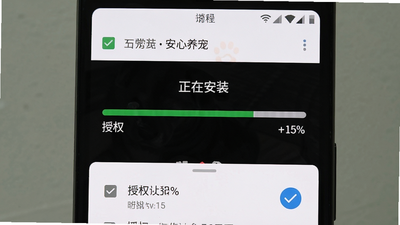 主体为安卓手机安装“安心养宠”APP的过程截图,布局显示安装进度条与权限勾选界面,排版居中,风格简洁直观,细节包含勾选框与进度百分比,画质清晰,干净,文字“正在安装”与“授权”清晰