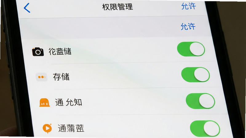 手机端设置界面,主体为权限管理页面,布局列表形式,排版清晰,风格为系统原生风格,细节显示相机、存储、通知等权限开关状态,画质清晰,干净,无多余元素,文字标注
