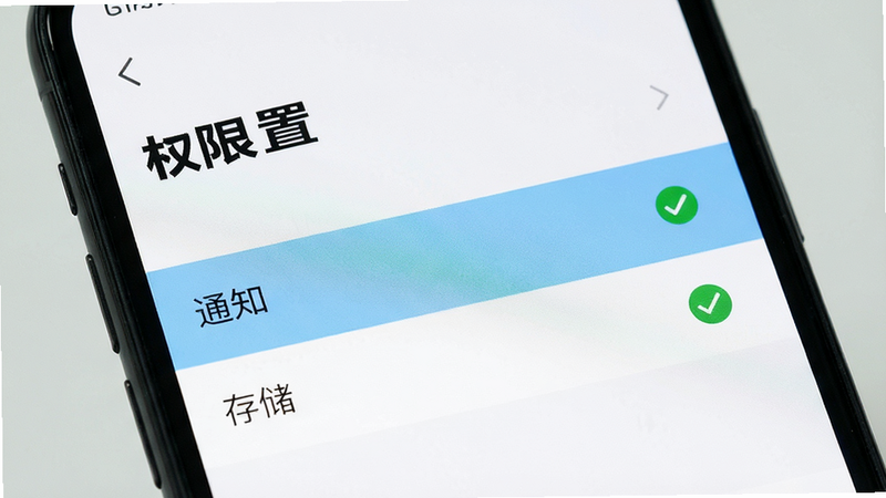 ����Ϊ�ֻ����ý��棬��ʾӦ��Ȩ�޹���ҳ�棬������ʾ��֪ͨ���͡��洢��ѡ�����Ϊ��׼�б���ʽ�������������ϸ�ڴ��жԹ���ǣ����ʸ��壬�ɾ����޶���Ԫ�أ����֡�Ȩ�����á������ɼ�