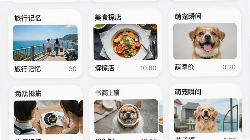 主体为应用内部的相册分类界面,屏幕显示多个圆角矩形卡片,分别标注