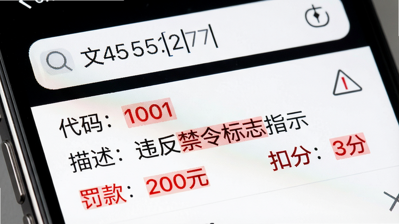 手机界面特写,显示搜索框输入数字代码,下方列表展示“代码:1001”、“描述:违反禁令标志指示”、“罚款:200元”、“扣分:3分”,界面配色为白底黑字,关键信息红色高亮,风格清晰直观,UI设计精细,高清画质