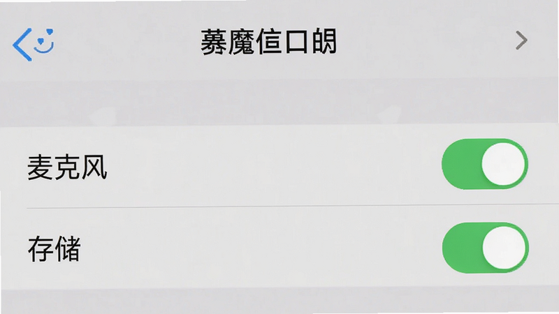 展示手机设置界面中“魔法口语”权限管理的高清截图,主体为“麦克风”和“存储”权限开关,均处于开启状态,布局清晰,排版规范,风格系统原生,细节真实,画质高清,干净无多余元素