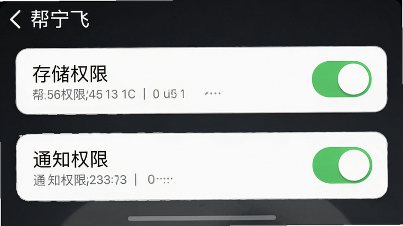主体为手机设置界面截图,布局展示权限管理页面,排版整齐,风格简洁,细节高亮显示“存储权限”与“通知权限”开关,画质清晰,干净,无多余图标,文字“帮宁飞”可见