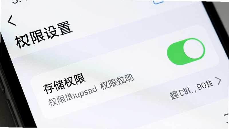 主体为手机设置界面,聚焦于权限管理部分,布局清晰展示“存储权限”开关状态,排版规范,风格直观易懂,细节展示勾选状态与权限说明文字,画质清晰,干净,无多余元素,文字“权限设置”