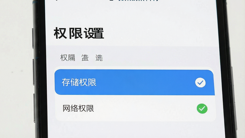 主体为手机设置界面截图,展示权限管理页面,高亮显示“存储权限”和“网络权限”选项,布局简洁,风格扁平化,细节处有对勾图标,画质清晰,干净,无多余元素,文字“权限设置”作为标题
