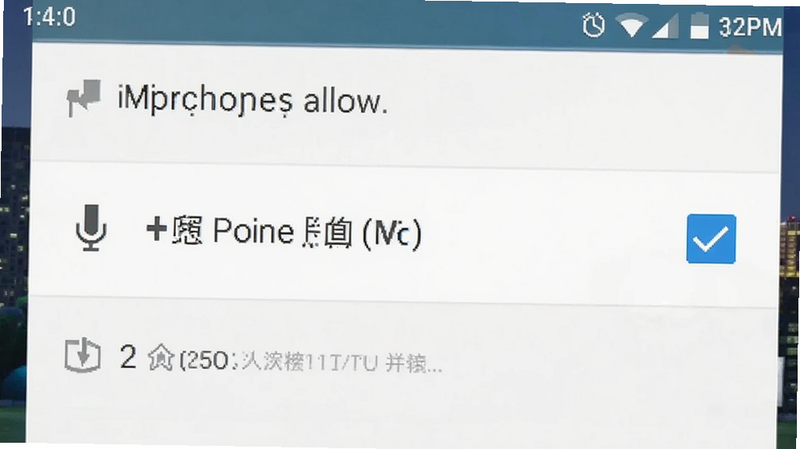 手机设置界面截图,显示权限管理页面,麦克风权限被勾选为允许,背景为安卓系统默认风格,清晰,无多余图标