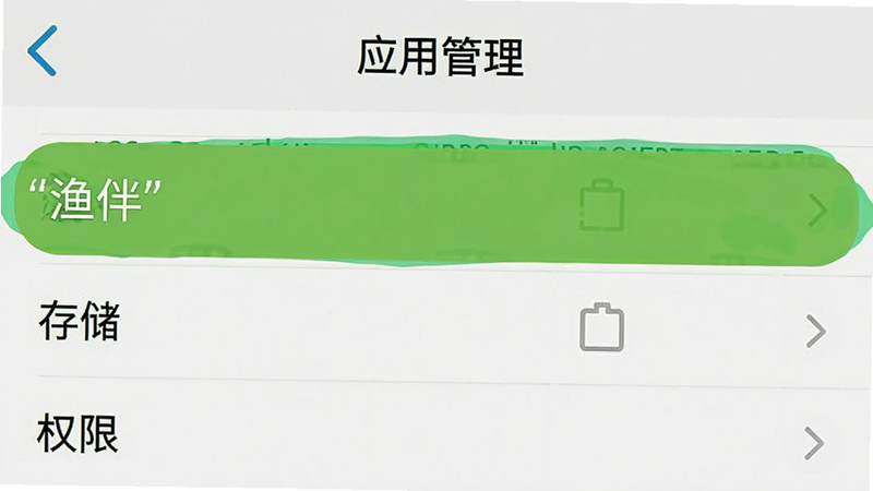 手机设置界面截图,显示“应用管理”列表,其中“渔伴”被高亮选中,下方有“存储”和“权限”选项,风格简洁,文字清晰,画质高,无其他干扰元素,文字“渔伴”加引号