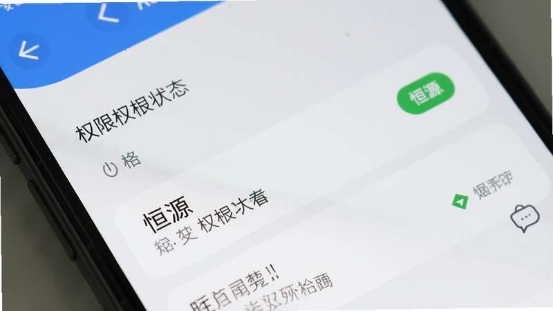 主体为手机设置界面,布局展示权限管理选项,排版清晰,风格扁平化,细节显示