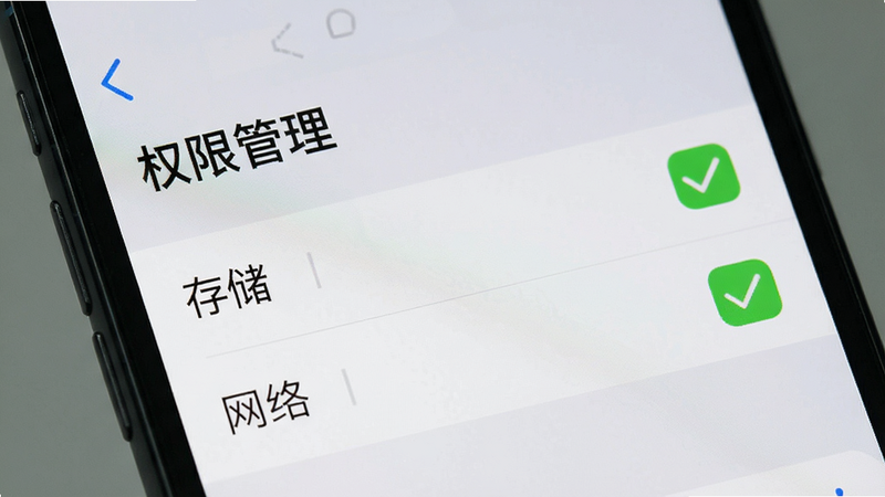 手机设置界面特写,显示“权限管理”页面,其中“存储”与“网络”权限被勾选为允许状态,背景为浅灰色,字体清晰,突出关键权限设置,布局简洁,高清截图风格,无多余弹窗,干净背景。