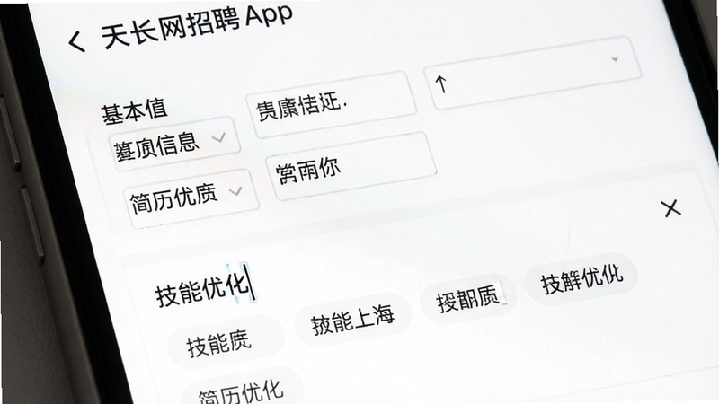 简历编辑界面特写,主体为天长网招聘App内的简历编辑页,布局上下结构,上方为基本信息填写,下方为技能标签选择,排版清晰,风格极简白底黑字,细节显示光标闪烁效果,文字显示