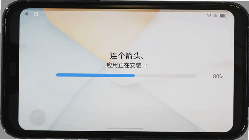 手机安装界面截图,显示