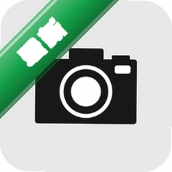 Camera Monitor