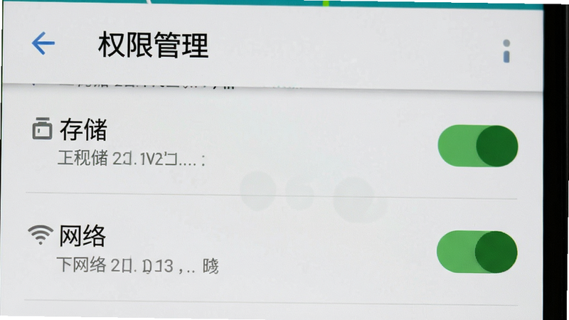 手机设置界面截图,显示“权限管理”页面,其中“存储”和“网络”权限开关处于开启状态,背景为安卓系统标准UI,风格简洁,细节清晰,画质高清,无多余元素