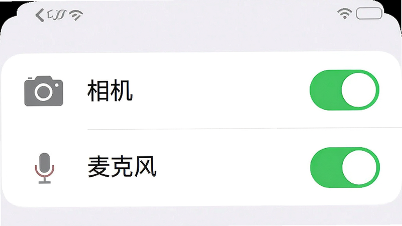 手机设置界面截图,显示权限管理列表,其中“相机”和“麦克风”权限开关为绿色开启状态,界面简洁,图标清晰,布局整齐,风格扁平化,细节准确,画质高清,干净无多余元素