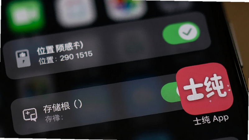 手机设置界面特写,显示位置权限与存储权限的开启状态,旁边放置士纯 App 图标,背景虚化,突出权限设置的重要性,清晰展示勾选状态,写实风格,高清晰度