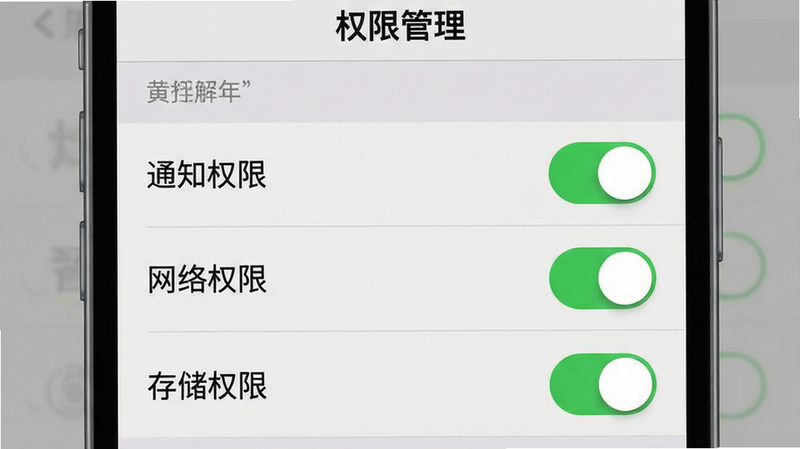 一张手机设置界面的示意图,主体是权限管理页面。布局为列表形式,显示通知、网络、存储等权限开关。排版清晰,开关状态明显。风格为系统原生UI,灰色背景。细节包括