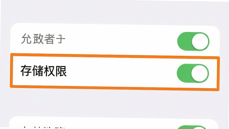 手机设置界面截图,主体是应用权限管理页面,高亮显示“存储权限”选项,布局清晰,风格为扁平化设计,细节展示开关状态,画质清晰,干净背景,无多余图标,文字“允许”醒目