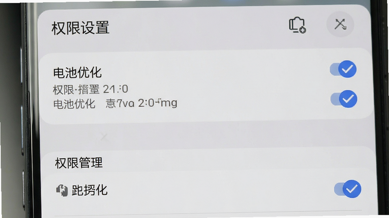 主体是手机设置界面,布局显示权限管理与电池优化选项,排版垂直列表式,风格为系统原生灰白,细节勾选状态清晰,画质清晰,干净无广告,文字标注“权限设置”