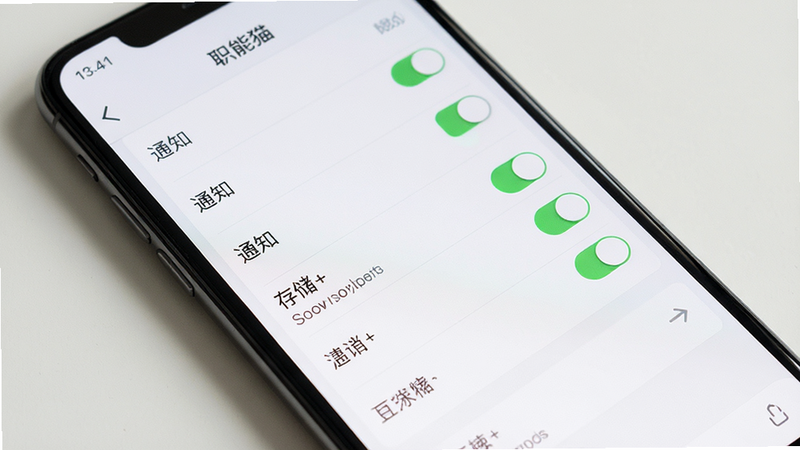 主体为智能手机屏幕,显示职能猫App的权限设置界面,布局为列表形式,风格为简洁UI设计,细节展示“通知”、“存储”等权限开关状态,画质清晰,干净,无多余元素